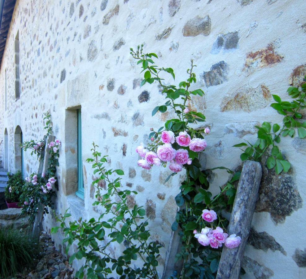 Bar Les 5 Petits Lapins B&B 외부 사진